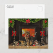 Carte postale "Happy Holiday Cats" (Devant / Derrière)