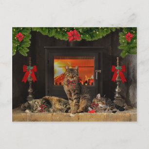 Carte postale "Happy Holiday Cats"