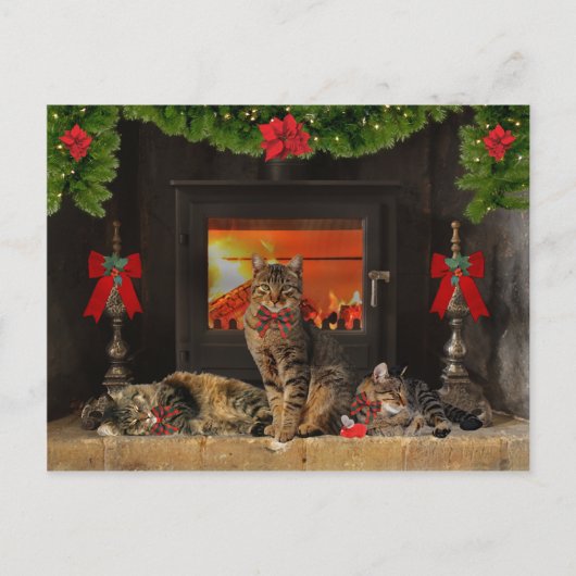Carte postale "Happy Holiday Cats" (Devant)
