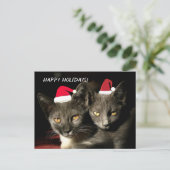 Carte postale Happy Holidays Cats (Debout devant)
