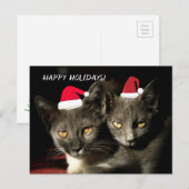 Carte postale Happy Holidays Cats (Devant / Derrière)