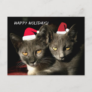 Carte postale Happy Holidays Cats