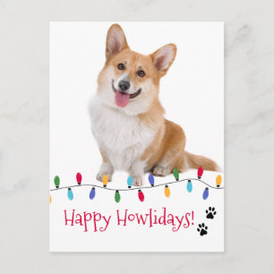 Carte Postale Happy Howlidays Chien Photo Festive Fêtes de Noël 
