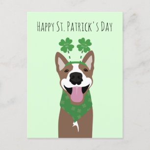 Carte Postale Happy Jour de la Saint Patrick Brown chien vert