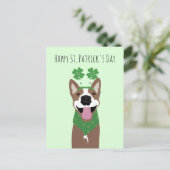 Carte Postale Happy Jour de la Saint Patrick Brown chien vert (Debout devant)