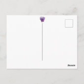 Carte postale Happy Nowruz (Dos)