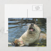 Carte Postale Happy Otter (Devant / Derrière)