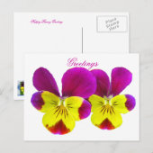 Carte postale Happy Pansy Greming (Devant / Derrière)