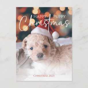 Carte Postale Happy Puppy Christmas photo