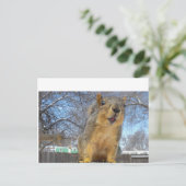 Carte Postale Happy Squirell (Debout devant)