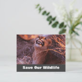 Carte Postale Happy Tau, Save Our Wildlife Postcard (Debout devant)