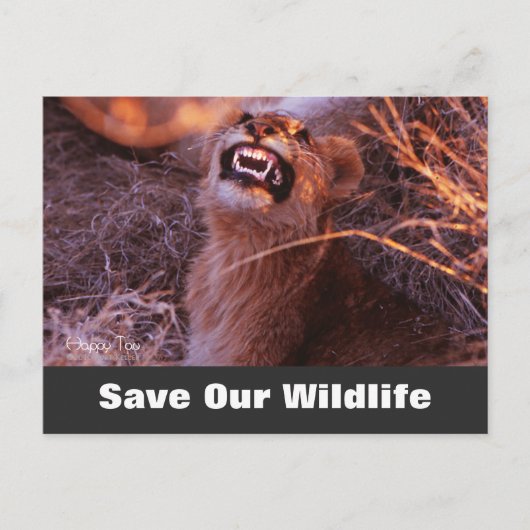 Carte Postale Happy Tau, Save Our Wildlife Postcard (Devant)