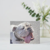 Carte Postale Happy White Bulldog (Debout devant)