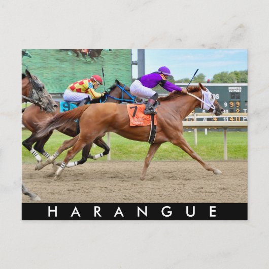 Carte Postale Harangue (Devant)