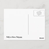 Carte Postale Harbour Island - Gordons Bay - Cape Town (Dos)