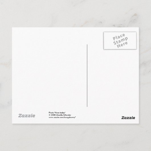 Carte Postale Hare aujourd'hui (Dos)