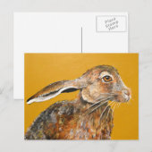 Carte Postale Hare aujourd'hui, parti demain (Devant / Derrière)