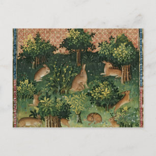 Carte Postale Hares en bois