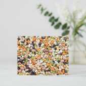 Carte Postale Haricots mixtes (Debout devant)