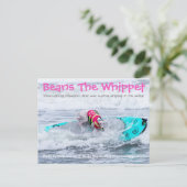 Carte Postale Haricots Surdog (Debout devant)