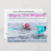 Carte Postale Haricots Surdog (Devant / Derrière)