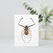 Carte Postale Harlequin Beetle (Debout devant)