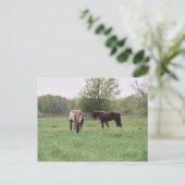 Carte postale Harley & Lady (Debout devant)