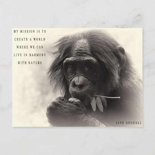 Carte Postale Harmonie Avec La Nature (Devant)