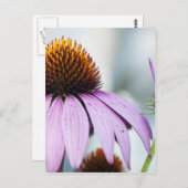 Carte Postale Harmonie florale (Devant / Derrière)