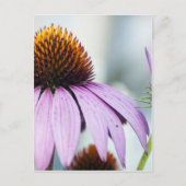 Carte Postale Harmonie florale (Devant)