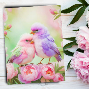 Carte Postale Harmonie Pastel : Songbirds