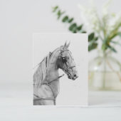 Carte Postale Harnais fin saddlebred (Debout devant)