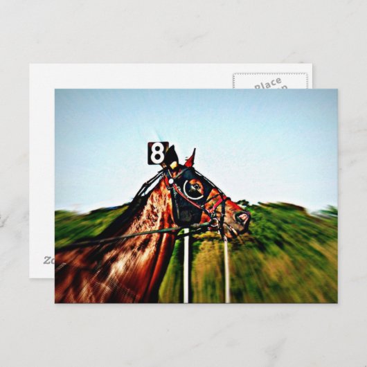 Carte postale Harness Racing (Devant / Derrière)