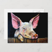 Carte Postale Harold (cochon d'épice) (Devant / Derrière)
