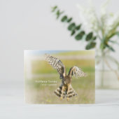 Carte Postale Harrier du Nord (Debout devant)