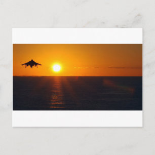 CARTE POSTALE "HARRIER SCELER"