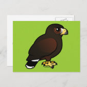 Carte Postale Harris Hawk (Devant / Derrière)