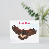 Carte postale Harris Hawk Flying (Debout devant)