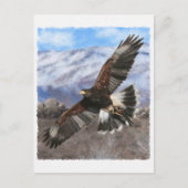 Carte Postale Harris Hawk - pastel (Devant)