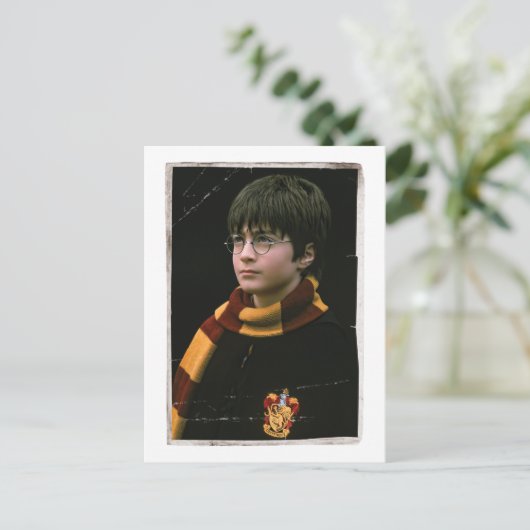 Carte Postale Harry Potter 2 (Debout devant)