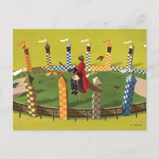 Carte Postale HARRY POTTER™ À la recherche du Vif d'or (Devant)