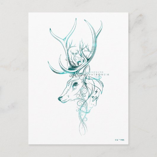 Carte Postale Harry Potter | Aguamenti EXPECTO PATRONUM™ Cerf (Devant)