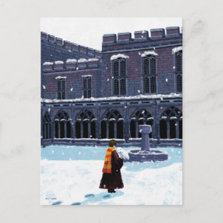 Carte Postale HARRY POTTER™ & Hedwig dans la cour de HOGWARTS™