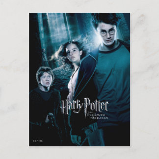 Carte Postale Harry Potter Ron Hermione Dans Forêt