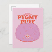 Carte Postale HARRY POTTER™ | Weasley's Wizard Pygmy Puff (Devant / Derrière)