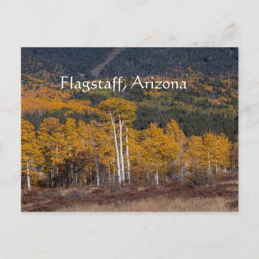 Carte Postale Hart Prairie Flagstaff, Arizona (Devant)