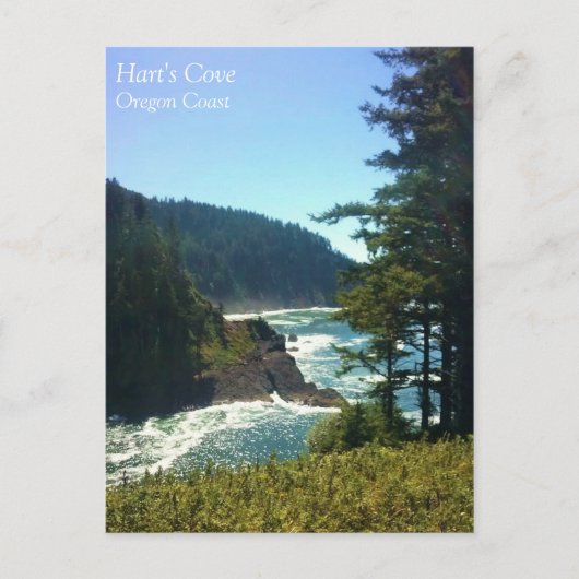 Carte Postale Hart's Cove, côte de l'Oregon (Devant)