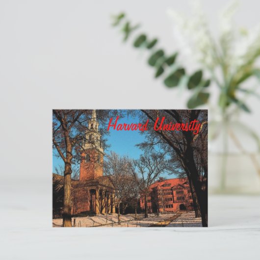 Carte postale Harvard (Debout devant)