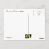 Carte Postale Harvestman Daddy Longlegs (Opiliones) (Dos)