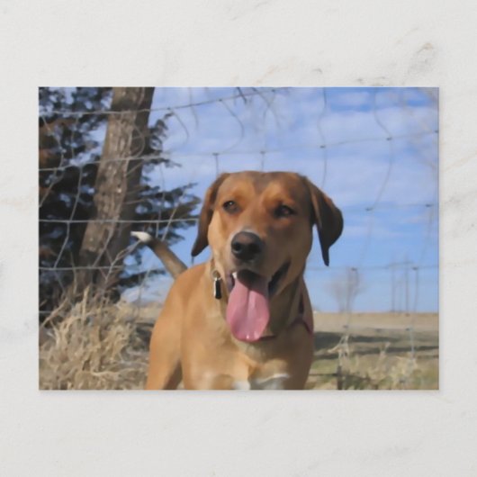 Carte Postale Harvey (Devant)